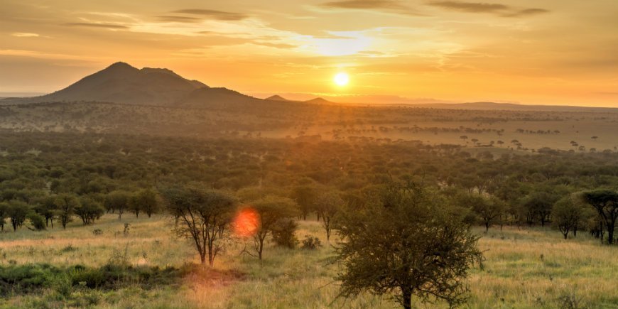 sol i Serengeti