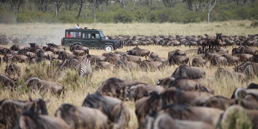Migrationen fraan safaribil