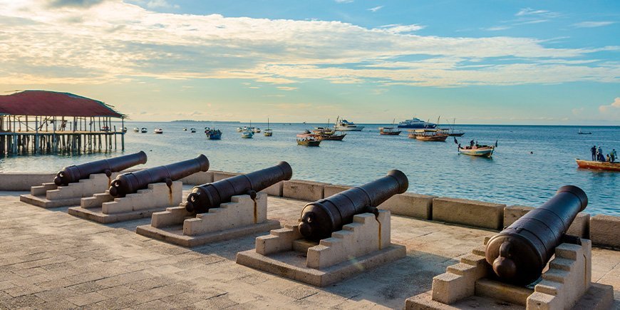 Kanoner vid vattnet i Stone Town på Zanzibar