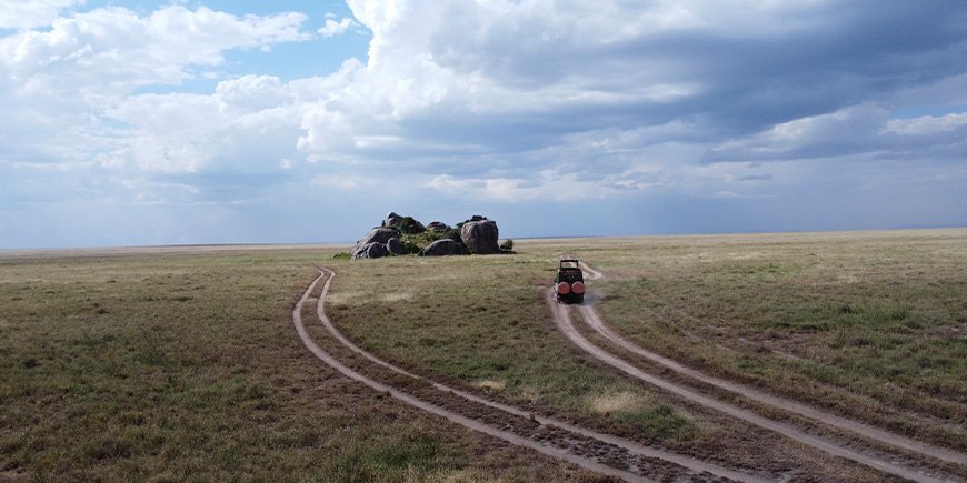 TourCompass-bil kör i Serengeti nationalpark