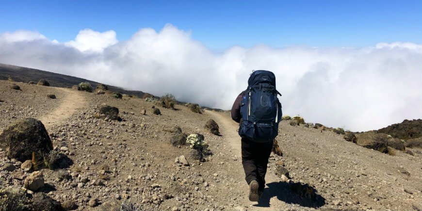 Vandring Kilimanjaro