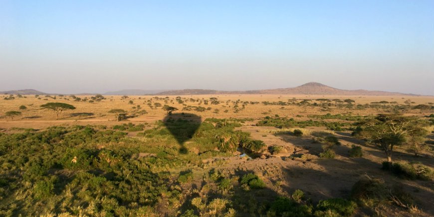 utsikt över serengeti